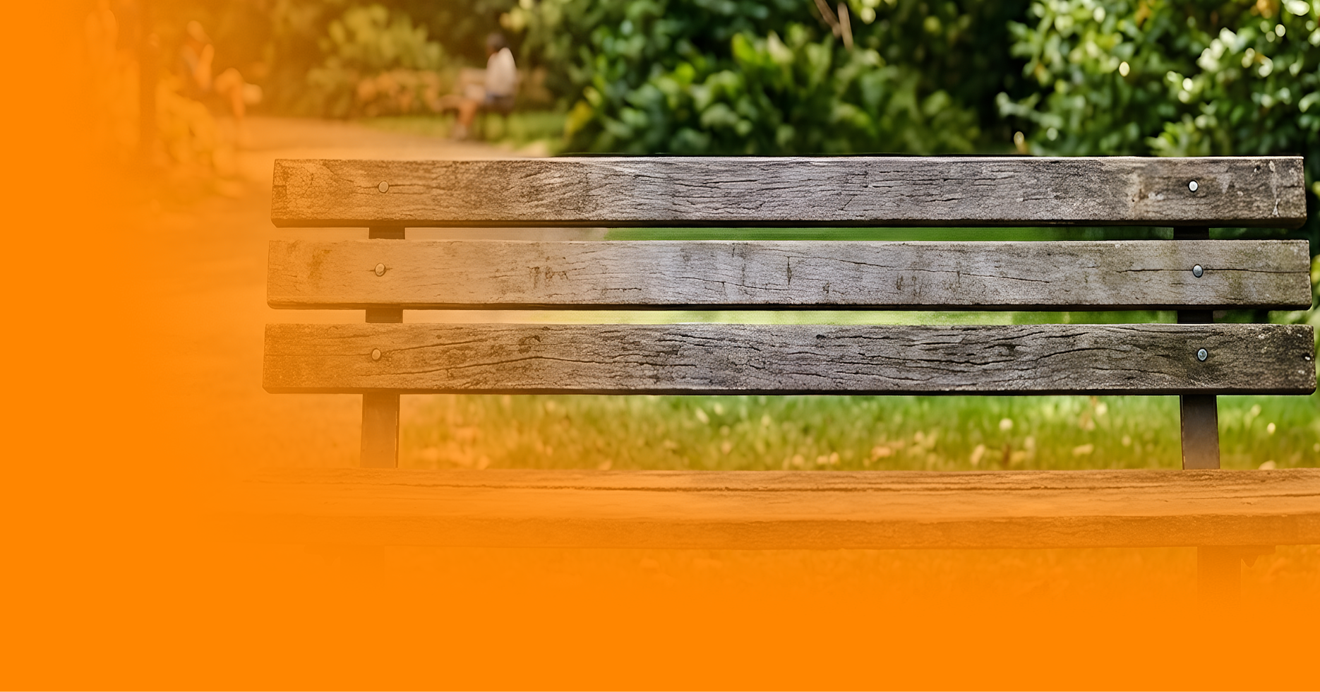 Bench banner image